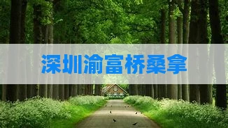 深圳渝富桥桑拿