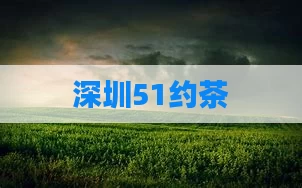 深圳51约茶