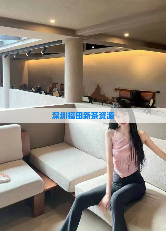 深圳福田新茶资源