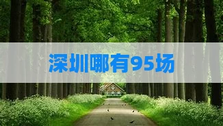 深圳哪有95场
