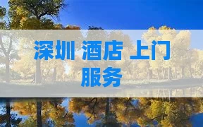 深圳 酒店 上门服务