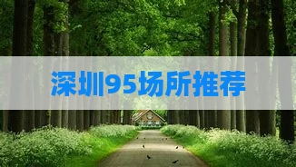 深圳95场所推荐