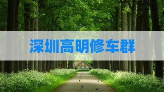 深圳高明修车群