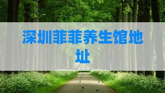 深圳菲菲养生馆地址