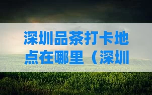 深圳品茶打卡地点在哪里（深圳品茶打卡地点在哪里啊）