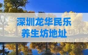 深圳龙华民乐养生坊地址