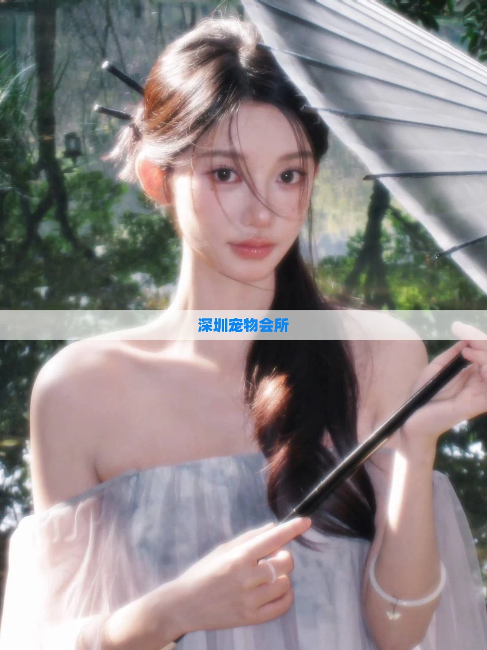 深圳宠物会所
