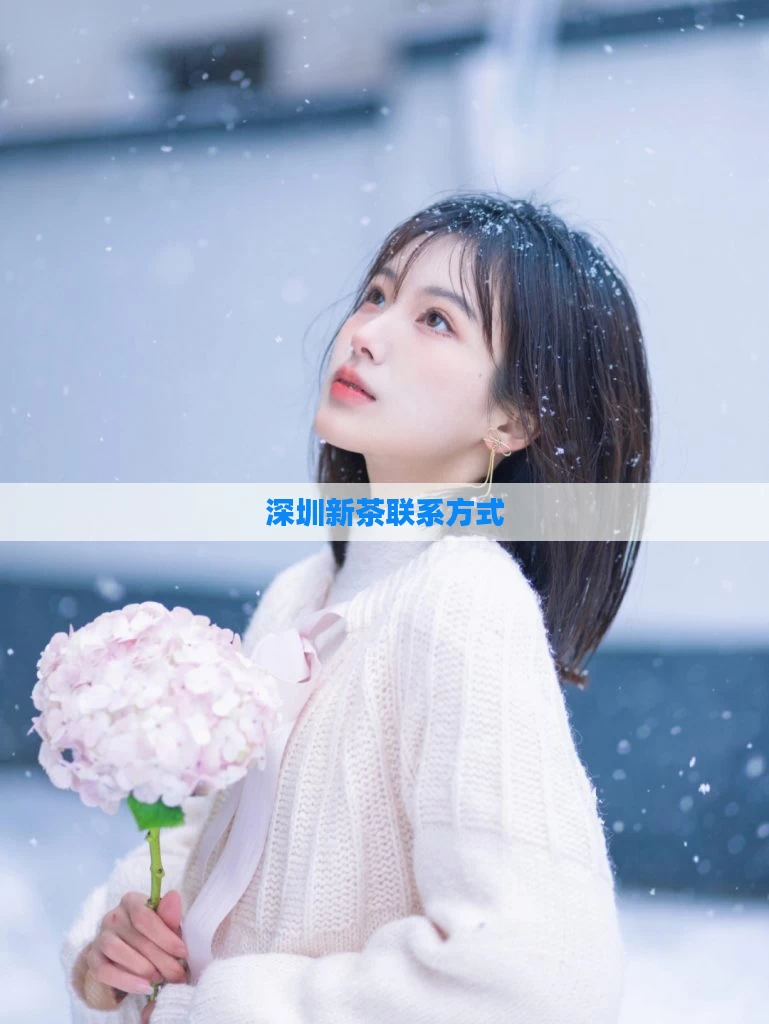 深圳新茶联系方式