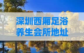 深圳西厢足浴养生会所地址