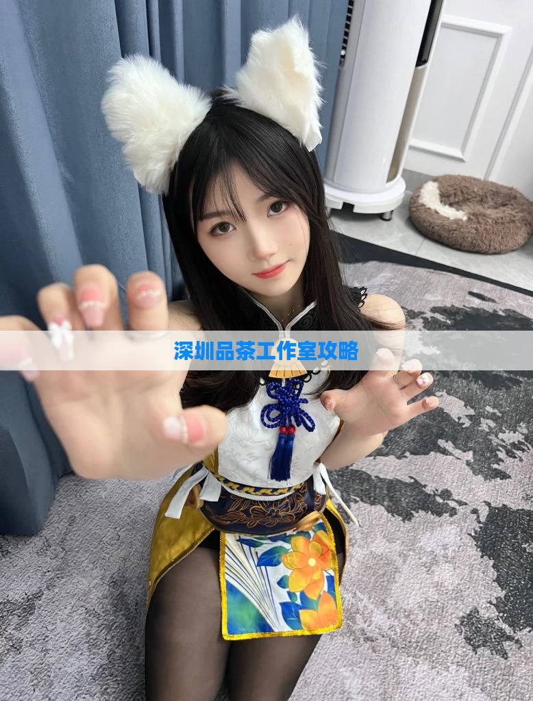 深圳品茶工作室攻略