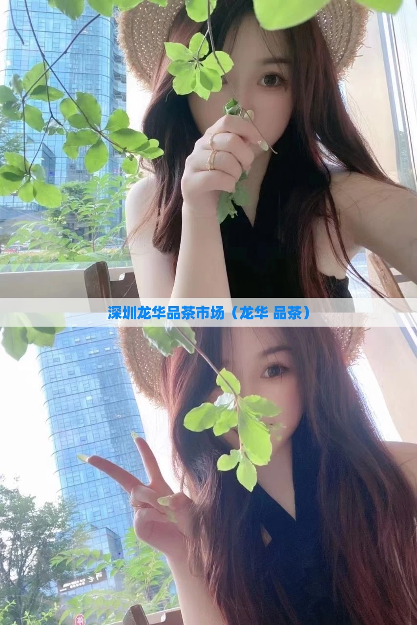 深圳龙华品茶市场（龙华 品茶）