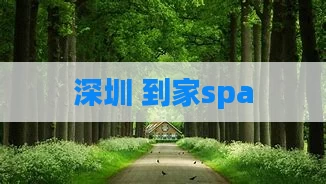 深圳 到家spa