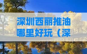 深圳西丽推油哪里好玩（深圳西丽推油哪里好玩的）
