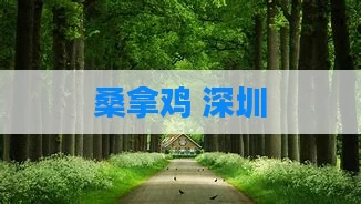 桑拿鸡 深圳
