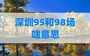 深圳95和98场啥意思