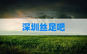 深圳丝足吧