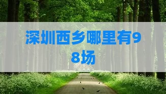 深圳西乡哪里有98场