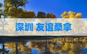 深圳 友谊桑拿