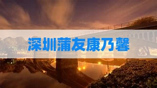 深圳蒲友康乃馨