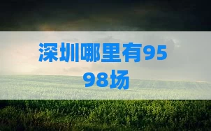 深圳哪里有95 98场