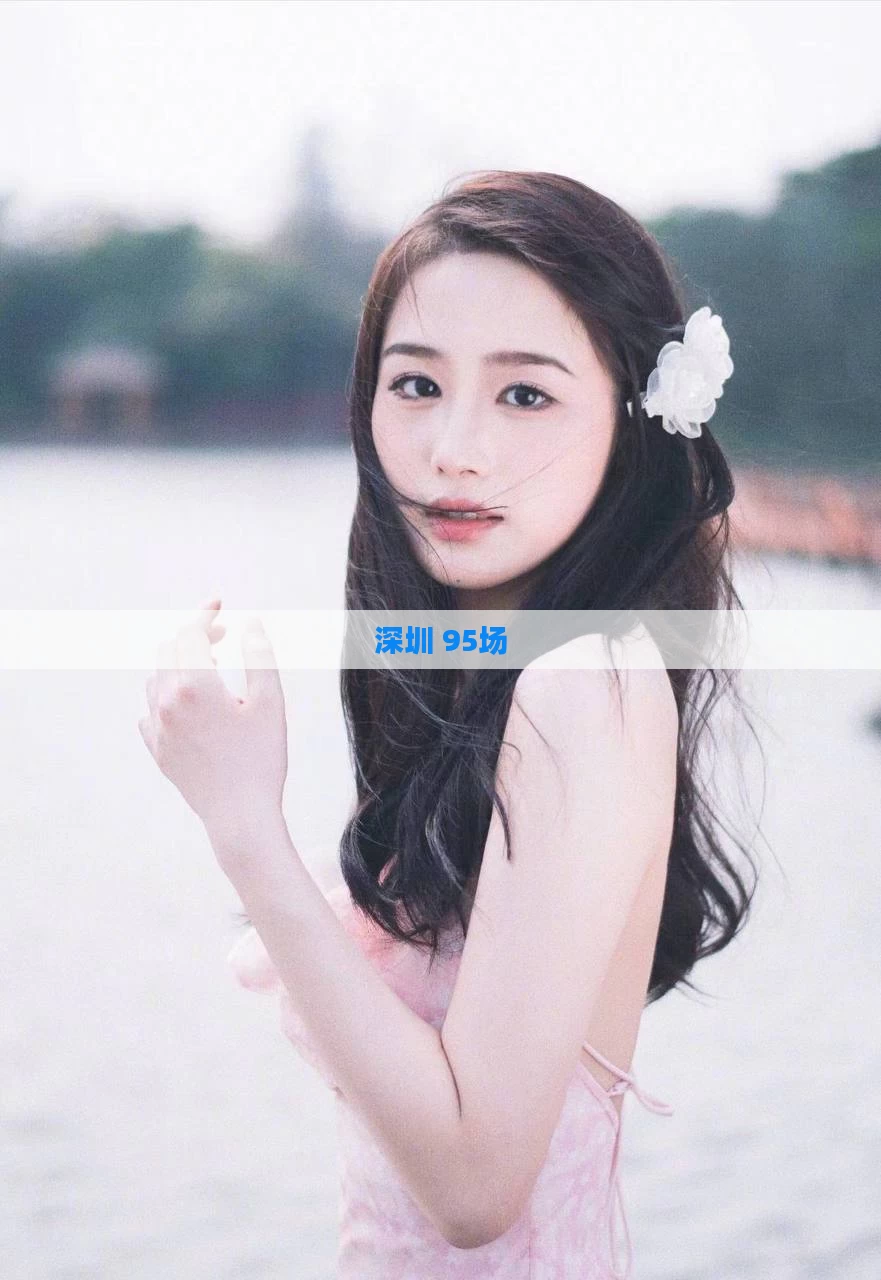 深圳 95场