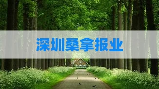 深圳桑拿报业