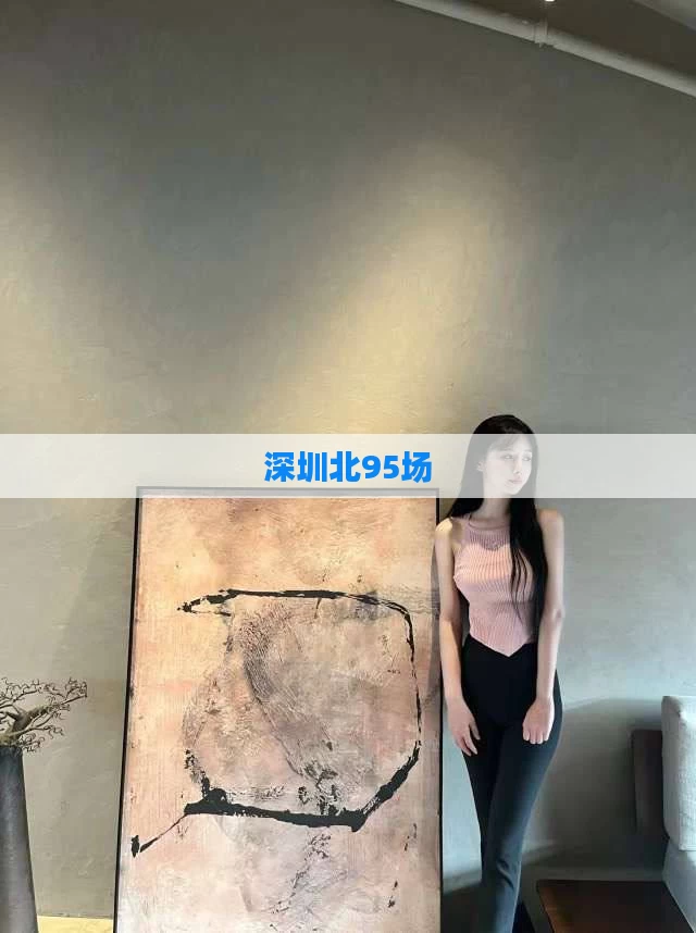 深圳北95场