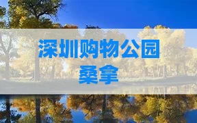 深圳购物公园桑拿