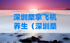 深圳桑拿飞机养生（深圳桑拿飞机养生馆地址）