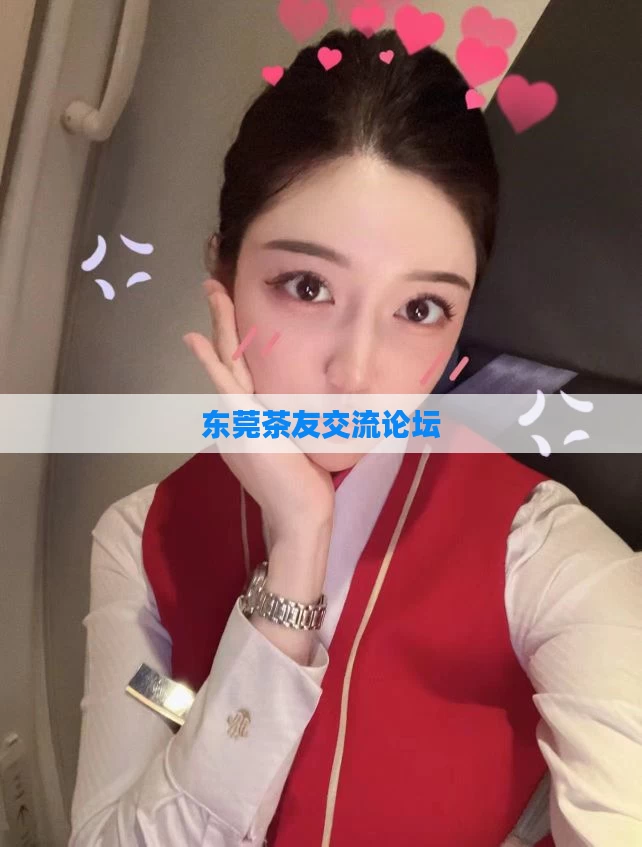 东莞茶友交流论坛