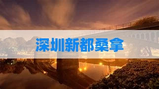 深圳新都桑拿