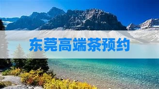 东莞高端茶预约