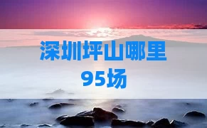 深圳坪山哪里95场