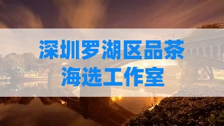 深圳罗湖区品茶海选工作室