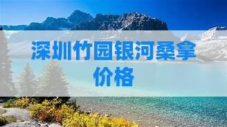 深圳竹园银河桑拿价格