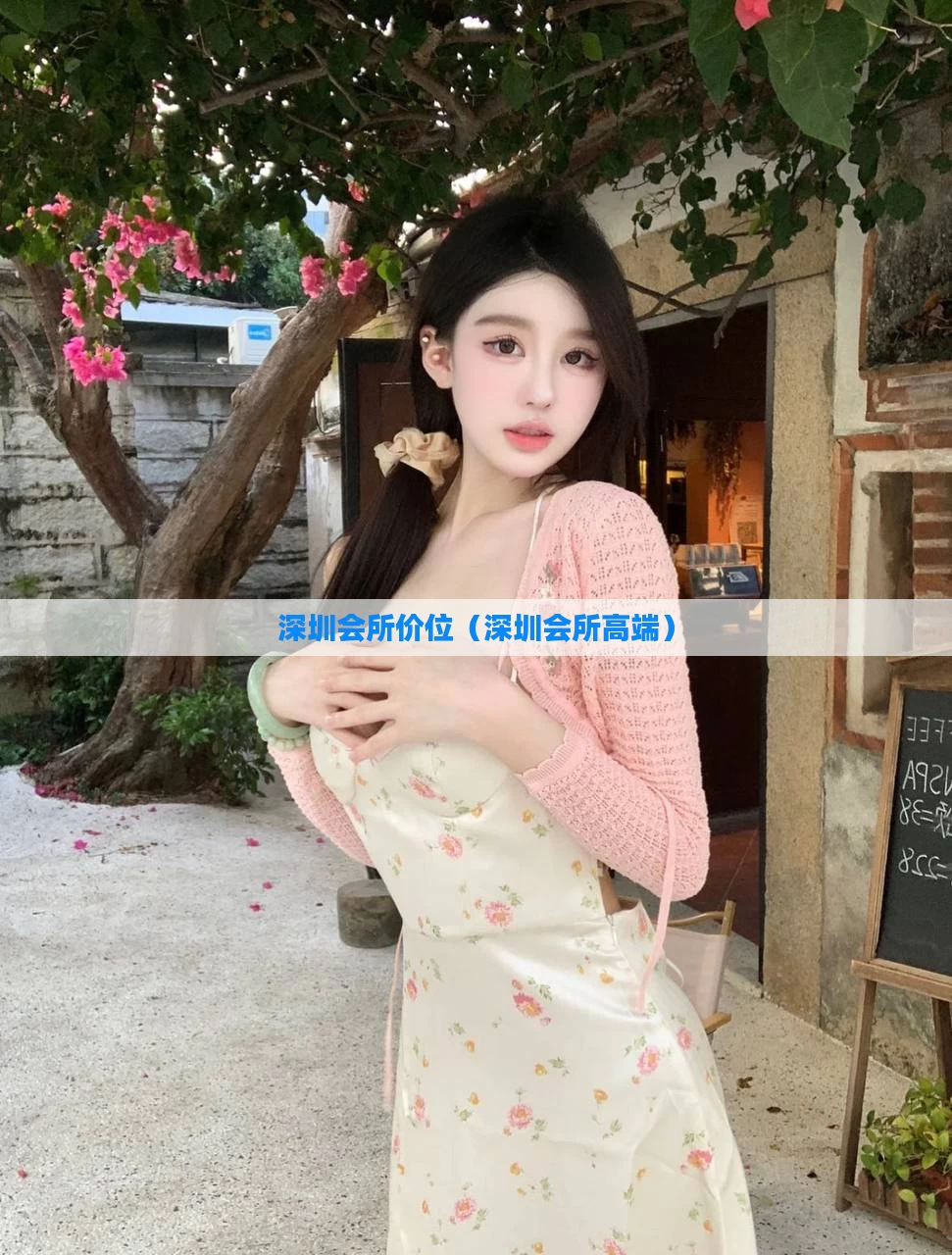 深圳会所价位（深圳会所高端）