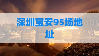 深圳宝安95场地址