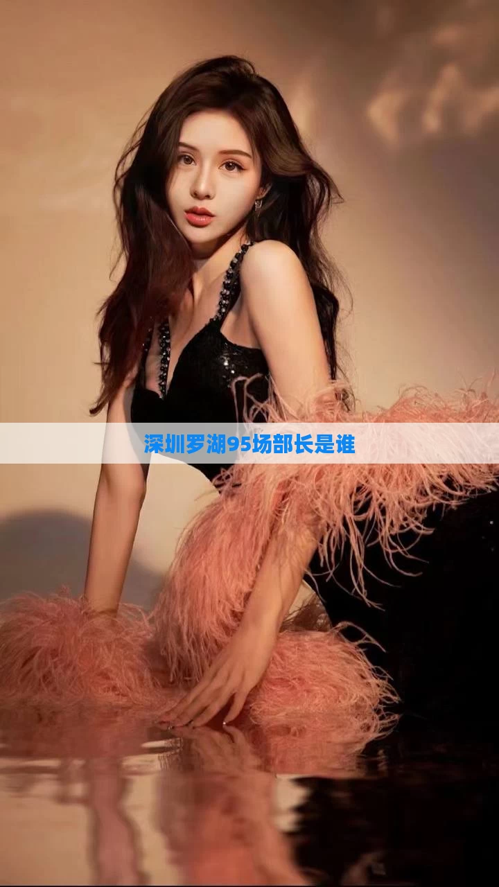 深圳罗湖95场部长是谁
