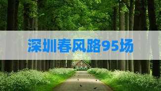 深圳春风路95场