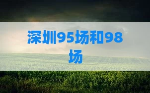 深圳95场和98场
