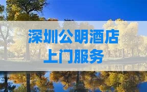深圳公明酒店上门服务