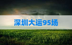 深圳大运95场