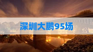 深圳大鹏95场