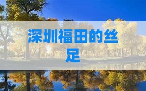 深圳福田的丝足
