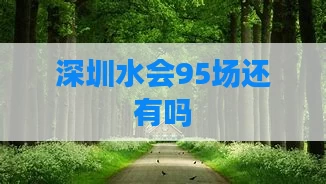 深圳水会95场还有吗