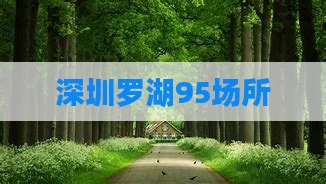 深圳罗湖95场所