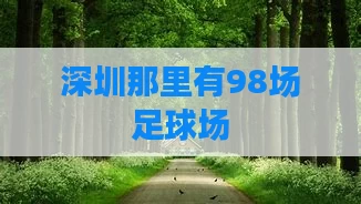 深圳那里有98场足球场