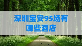 深圳宝安95场有哪些酒店