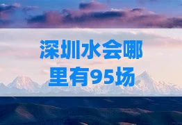 深圳水会哪里有95场