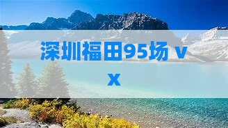 深圳福田95场 vx